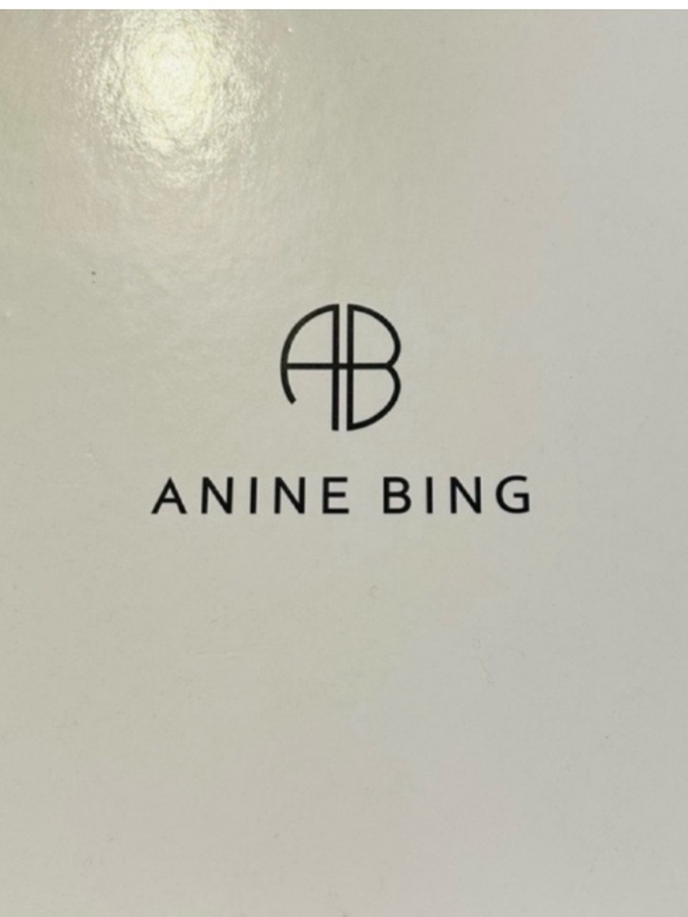 Anine Bing | Bag | Holiday Party Ready! Nico Bag Houndstooth | Ready to Ship! - Picture 14 of 16